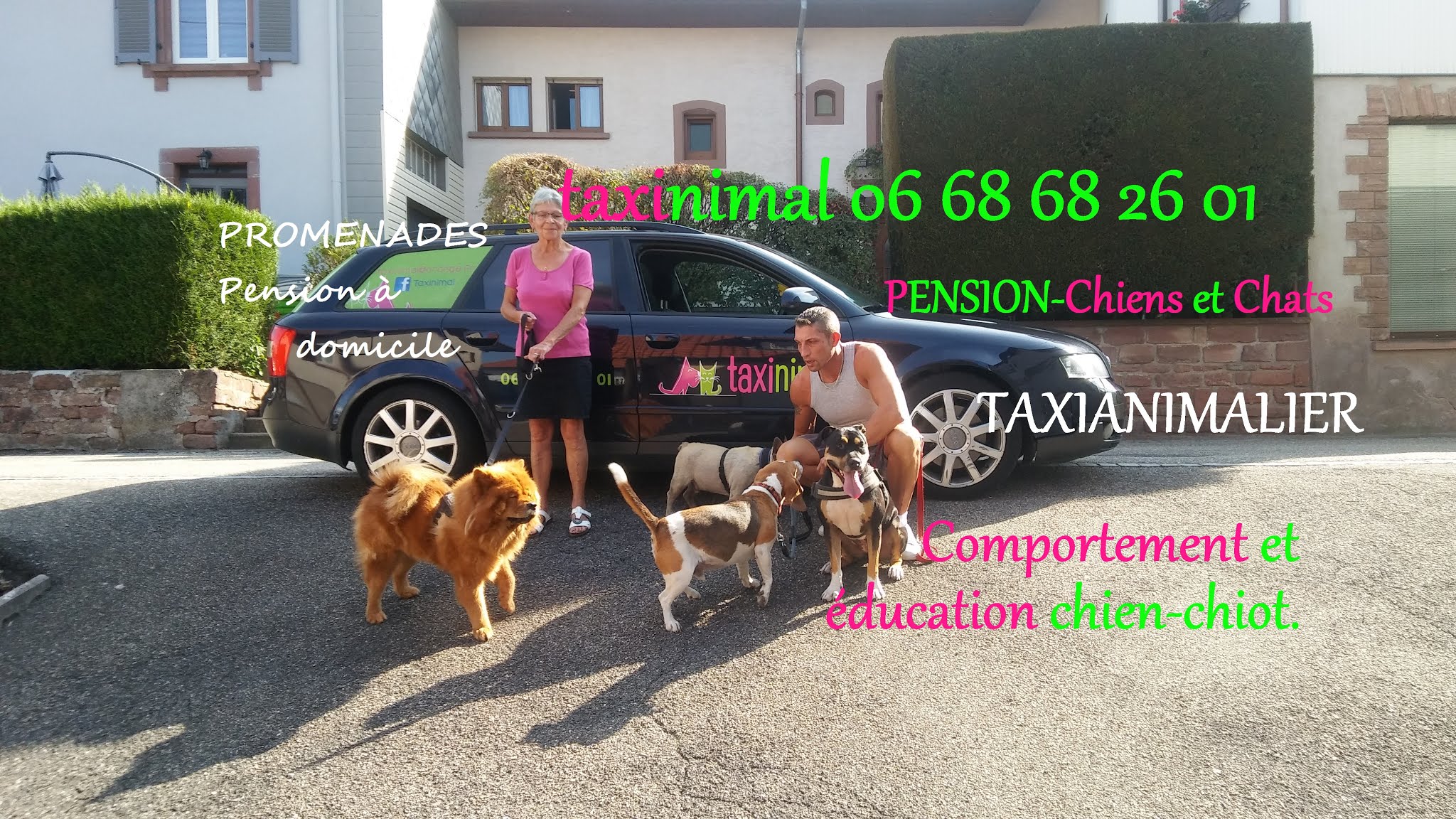 TAXINIMAL