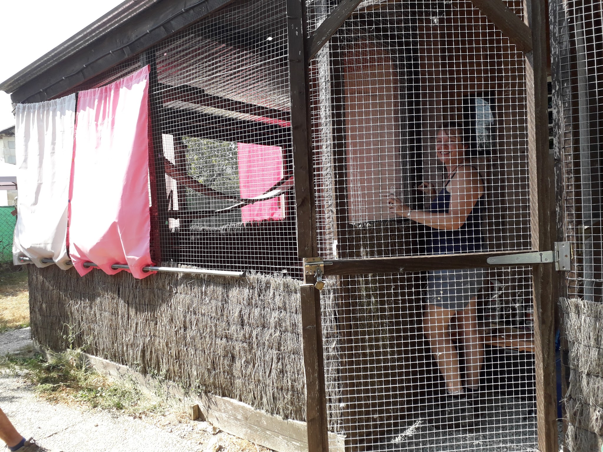 Saint Pardoux pension pour chiens — photo