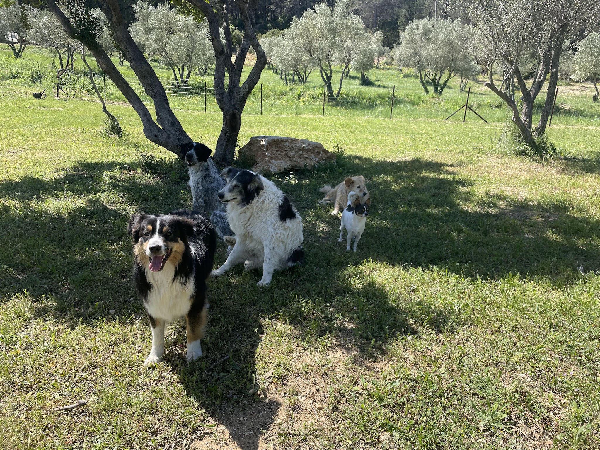 Parc Au Poil — photo