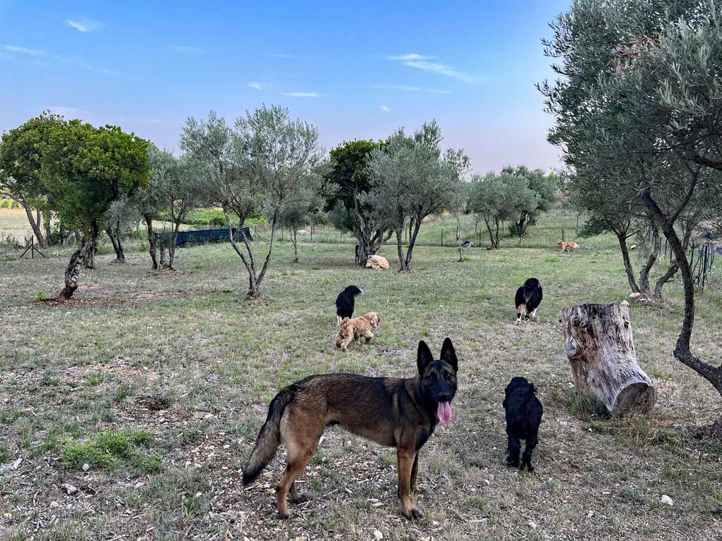 Parc Au Poil — photo