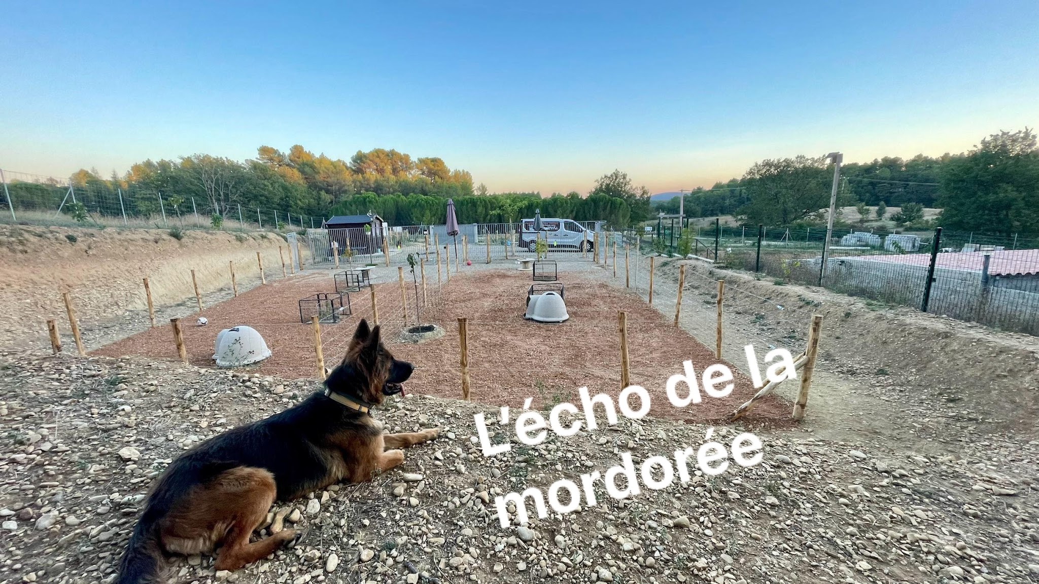 Centre Canin l'Echo de la Mordorée élevage et pension canine — photo