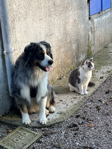 POILUS & COMPAGNIE