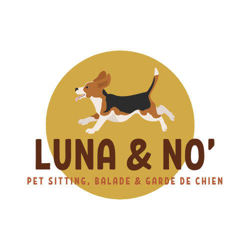 Luna and No, dog-sitting, garde de chien et balades à Villefranche-sur-Saône — photo