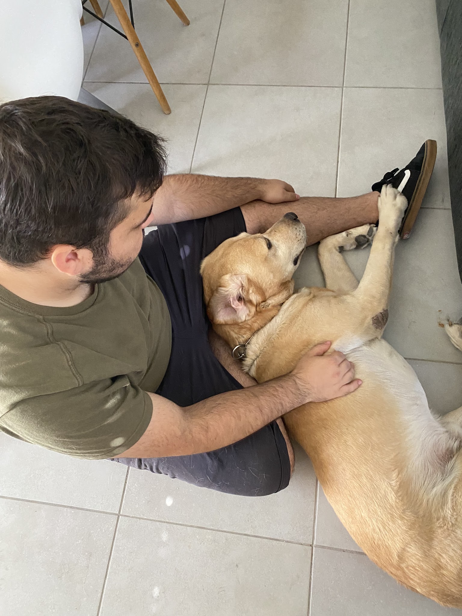 Paws & co - Petsitter — photo