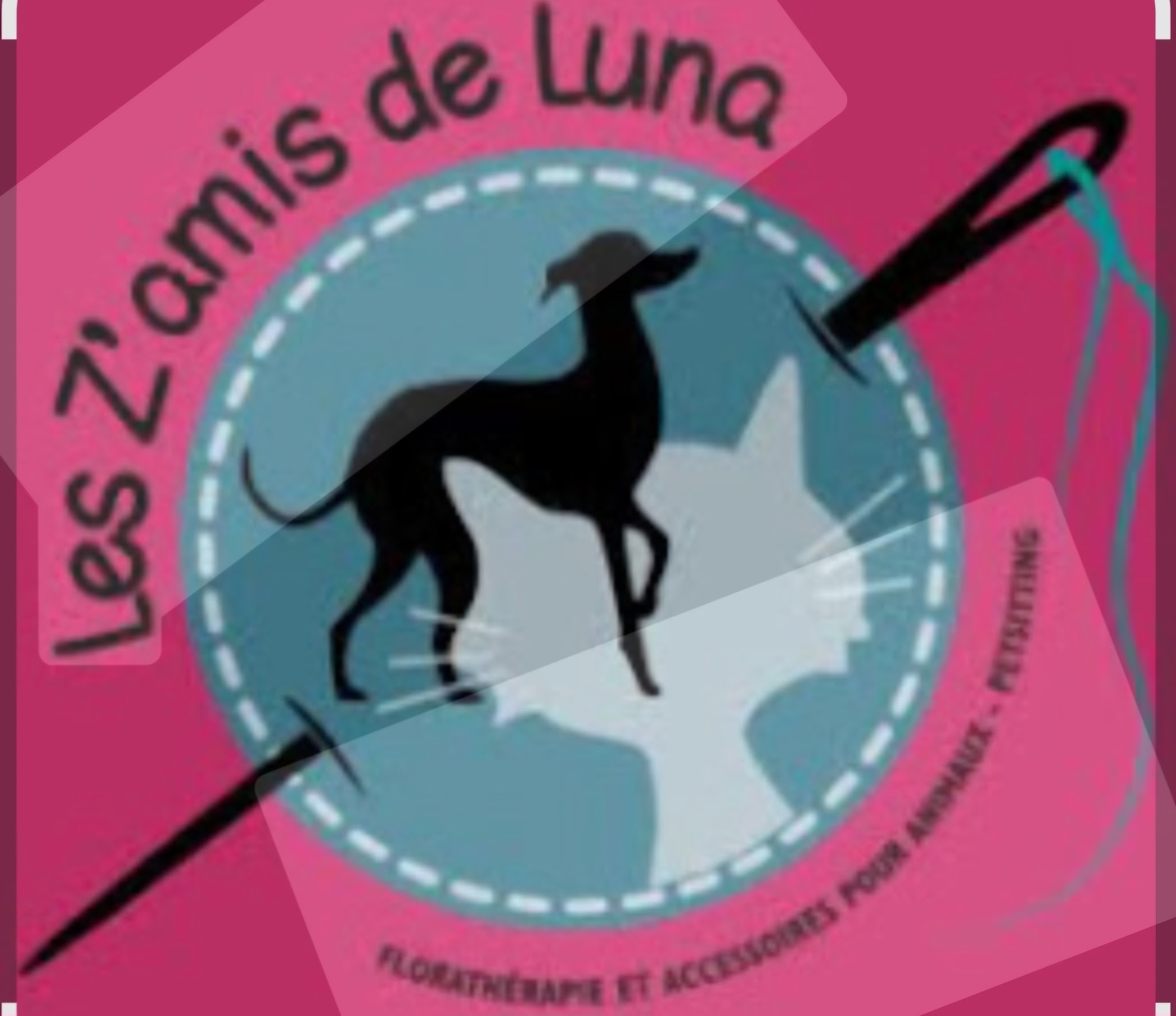 Les Z'amis de Luna — photo