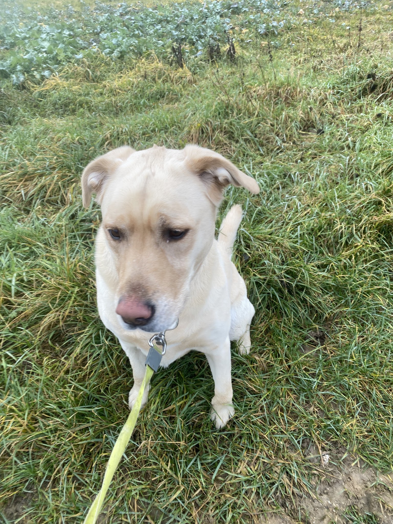 Can'équilibre Educateur Canin-Comportementaliste-Pension Familiale — photo