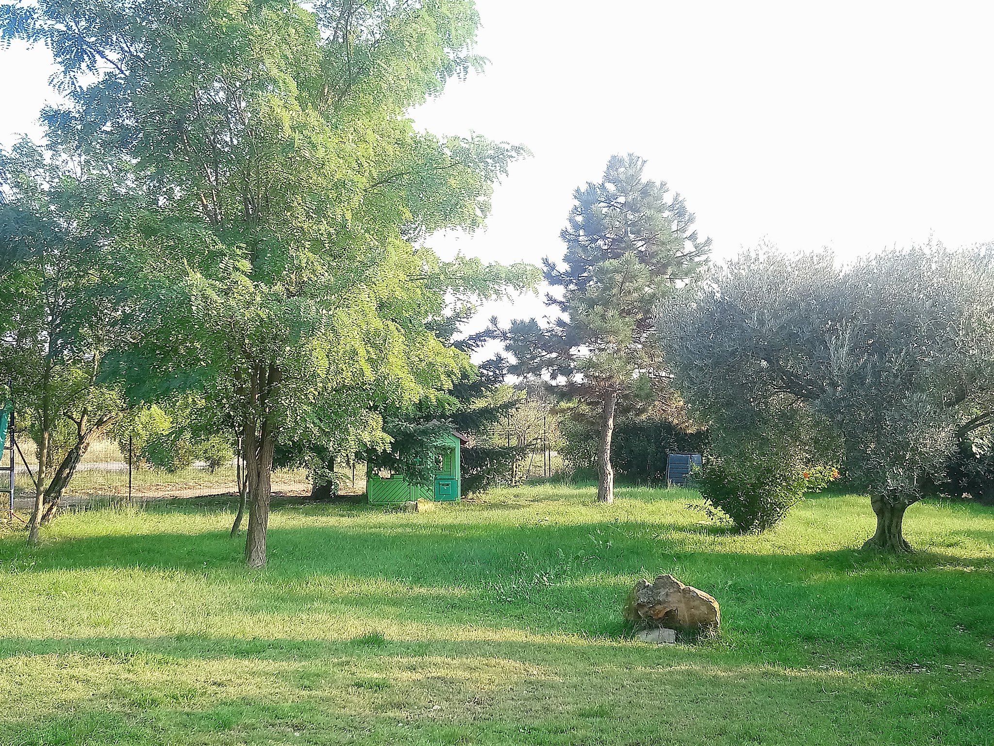 Elevage et pension du domaine d'Orthos