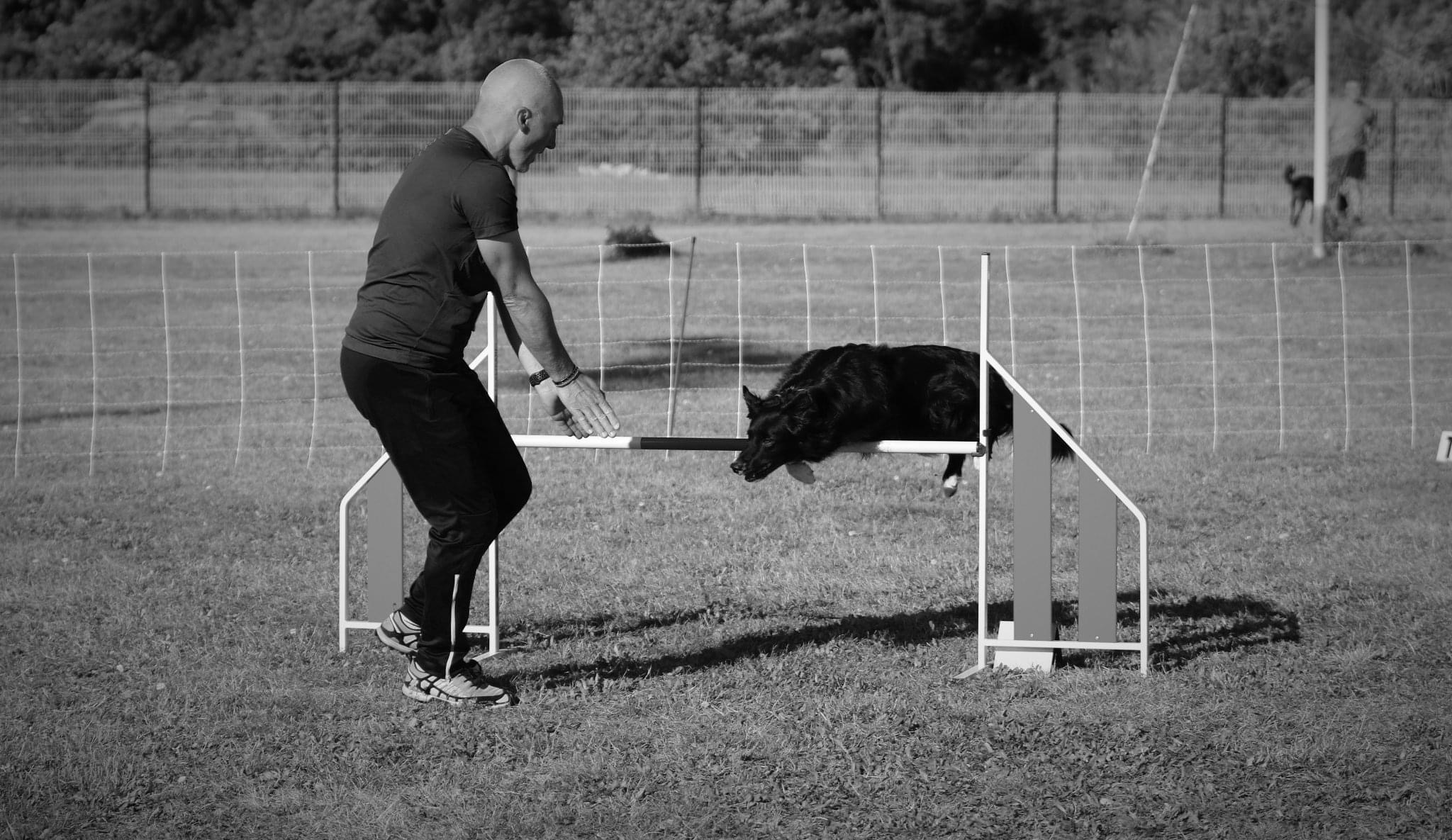 Infinity-Dog Éducateur Canin La Rochelle — photo