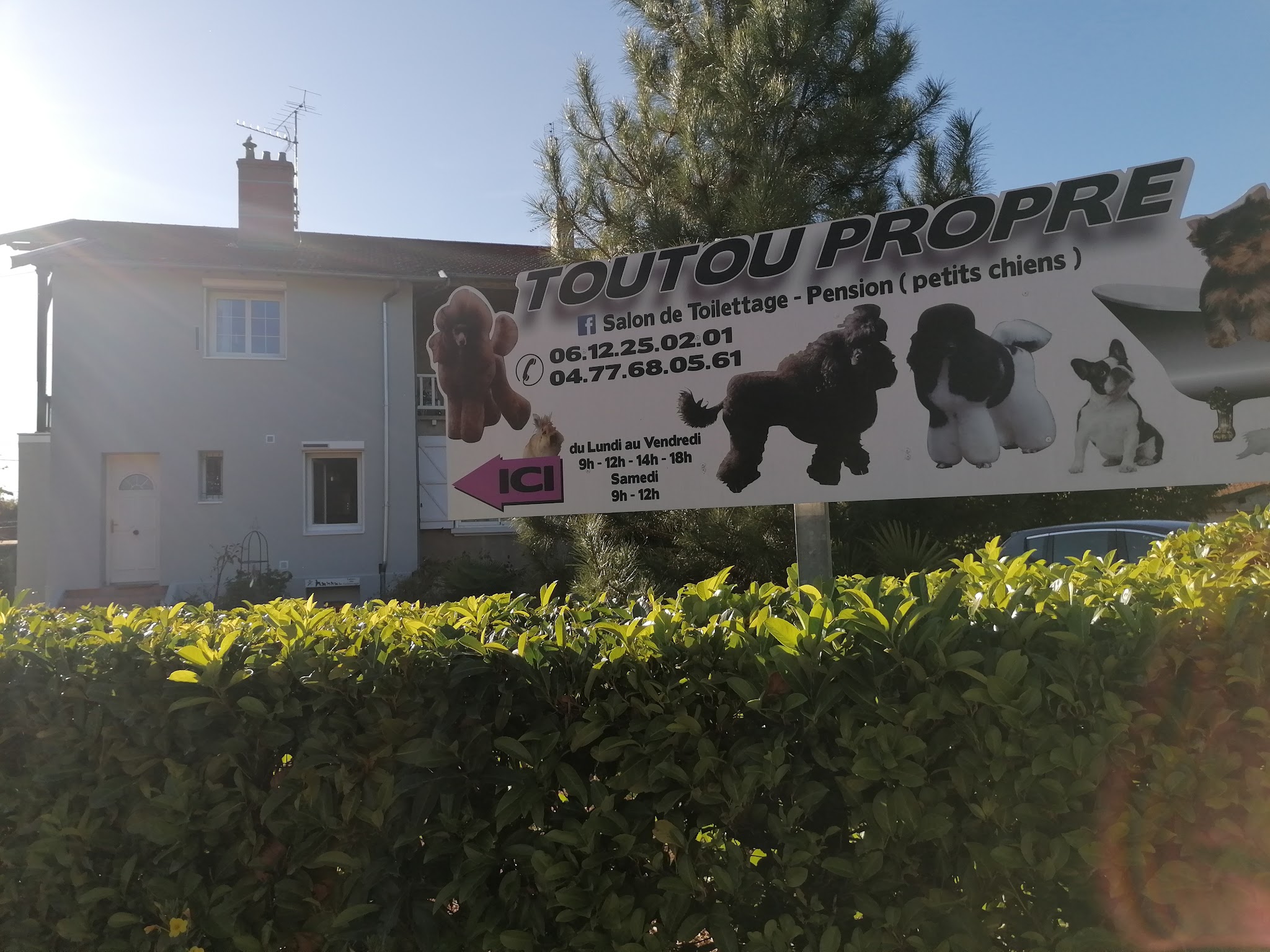Toutou Propre — photo
