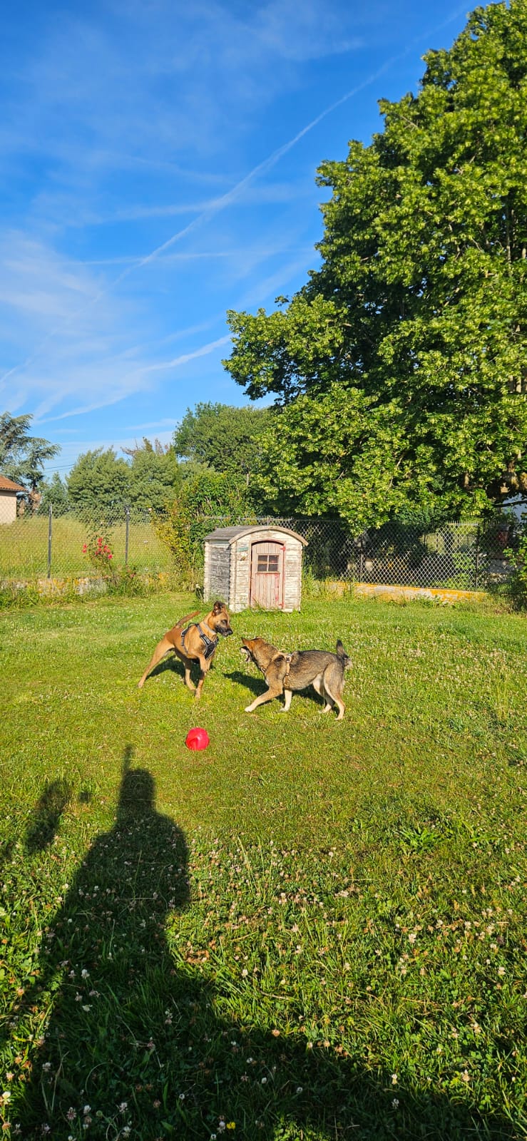Côté Canin — photo
