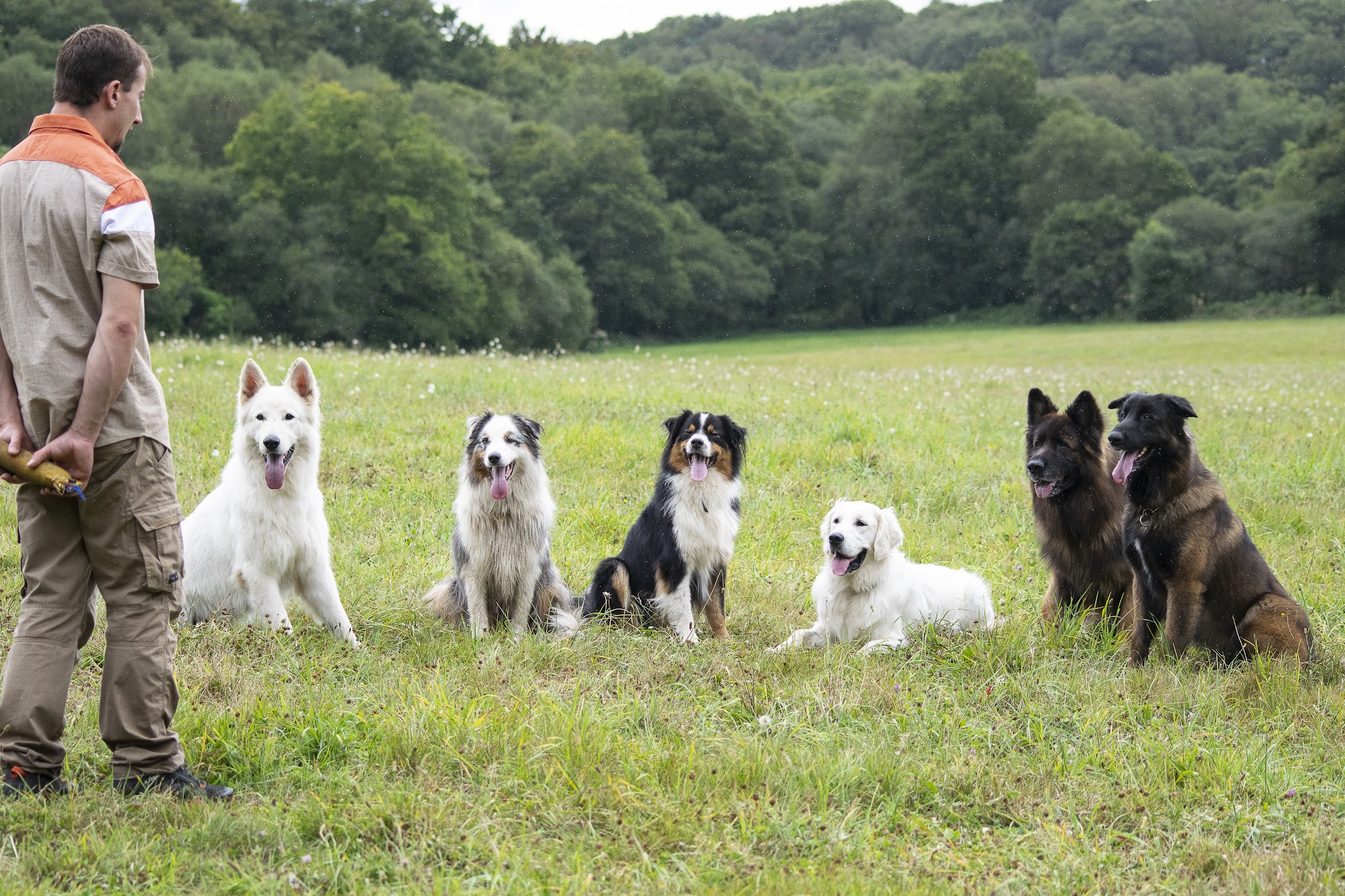 Entre Hommes et Chiens - Éducateur Canin — photo