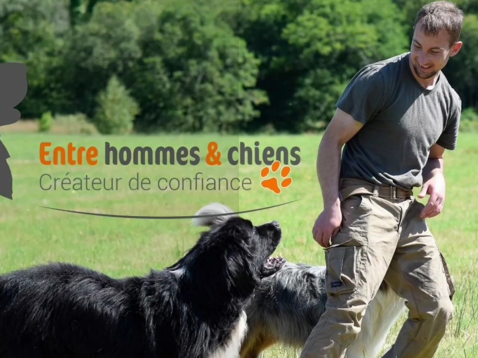 Entre Hommes et Chiens - Éducateur Canin — photo