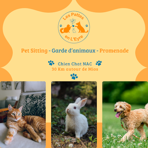 Les Pattes en L'Eyre