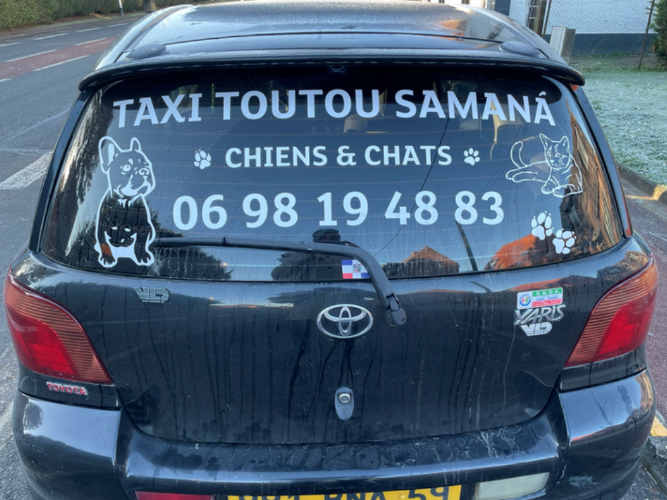 Taxi Toutou Samana