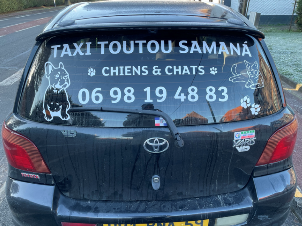 Taxi Toutou Samana — photo