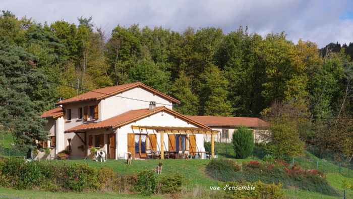 ELEVAGE DES CHARMES D ANTAN Mazallon — photo