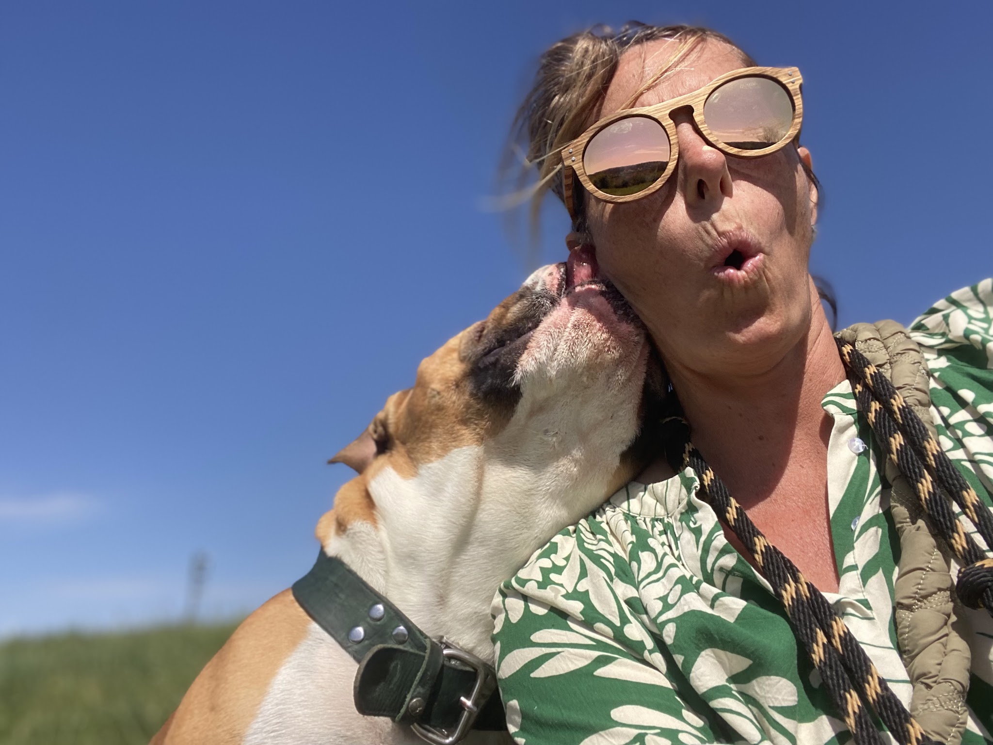 Val de Saône petsitter — photo