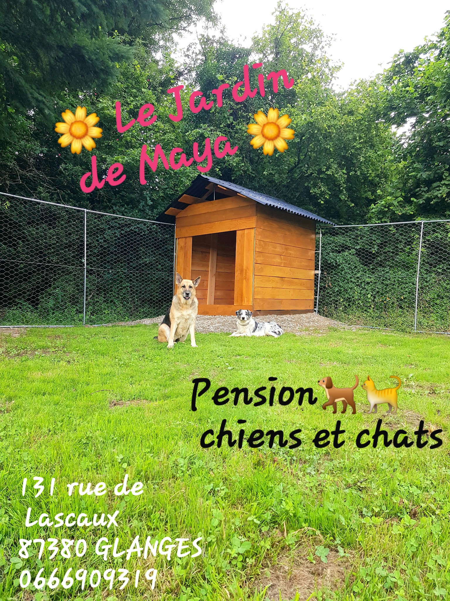 🌼 LE JARDIN DE MAYA 🌼 — photo
