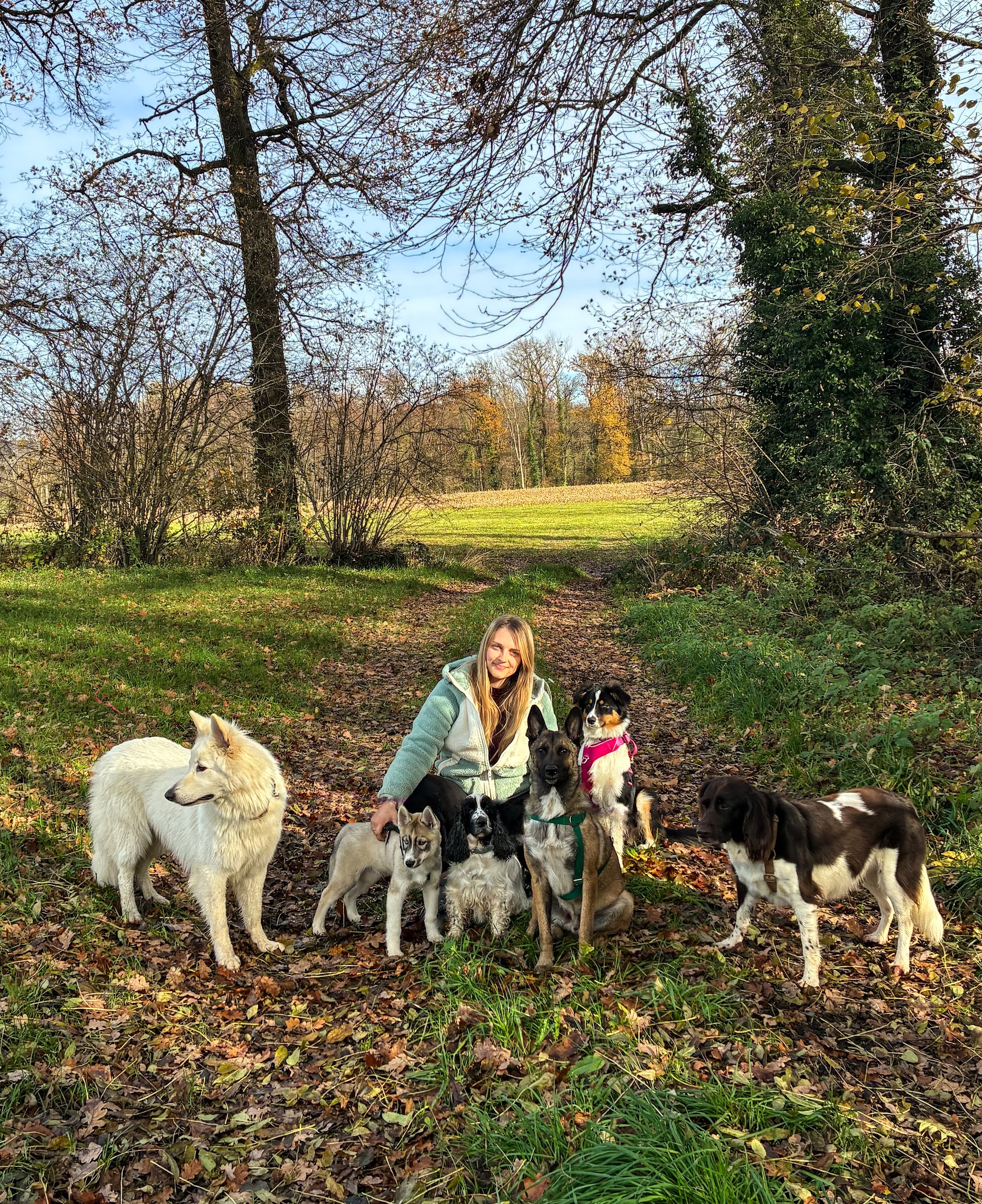 Instinct Animal - Balades collectives & Garderie Canine — photo