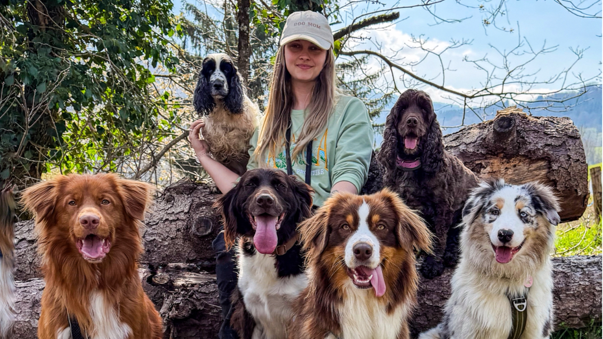 Instinct Animal - Balades collectives & Garderie Canine