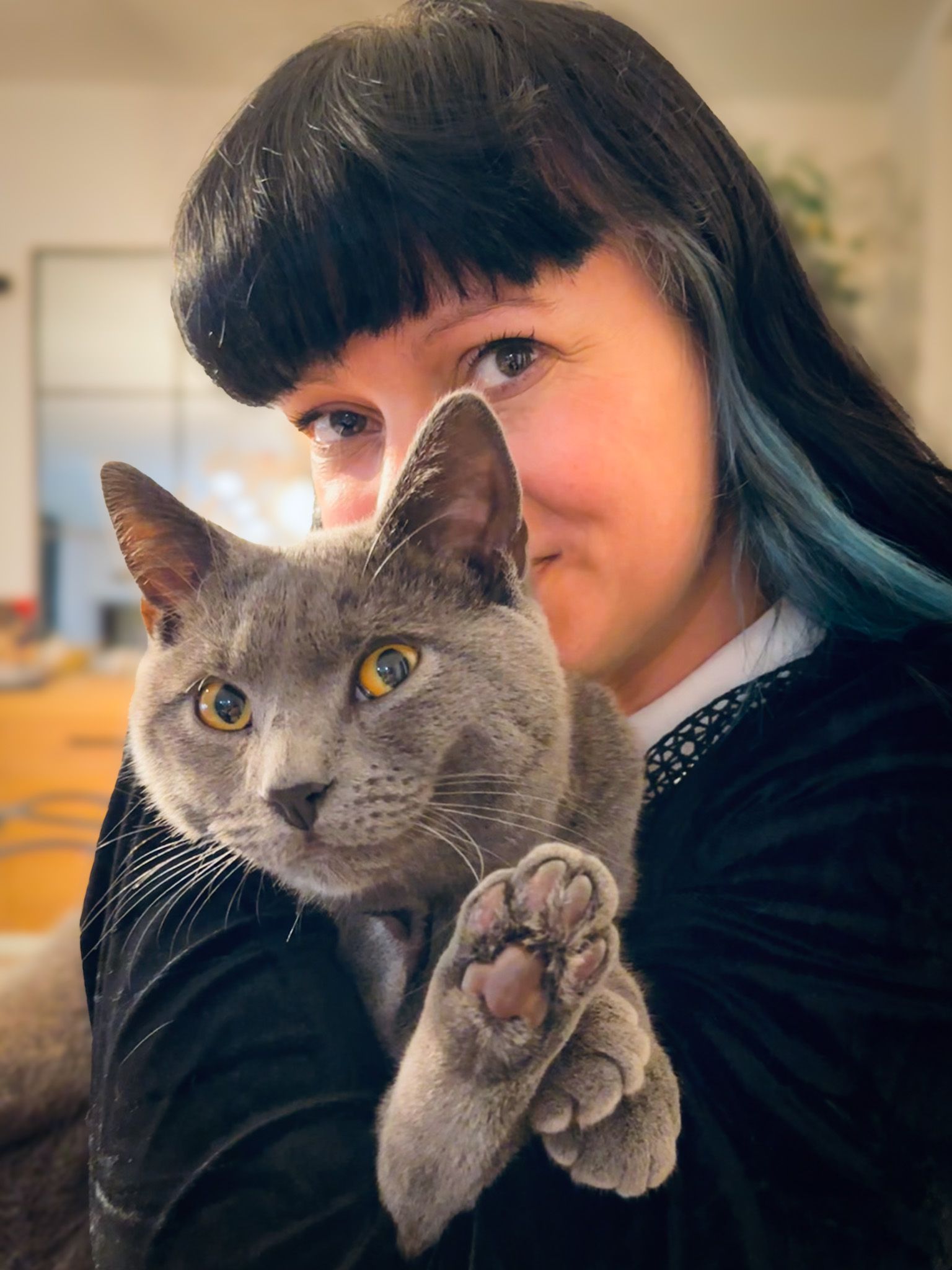 Des truffes et des moustaches - Pet sitting à Couy