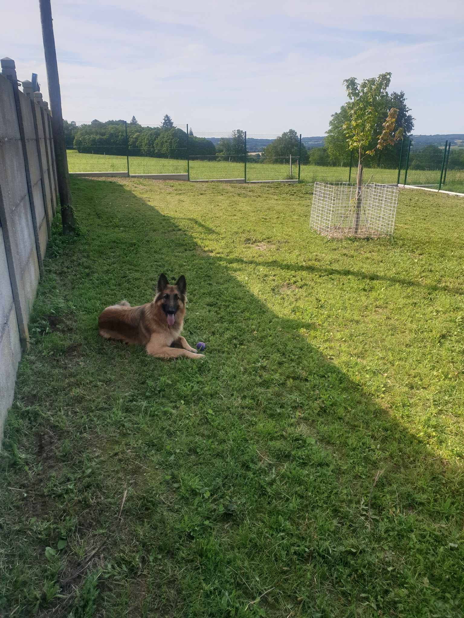 La Legende Du Petit Loup — photo
