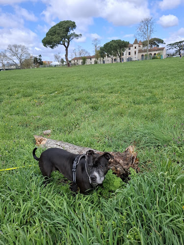 AC-CROCS - Pension - Éducation - Activités canines - vente de croquettes
