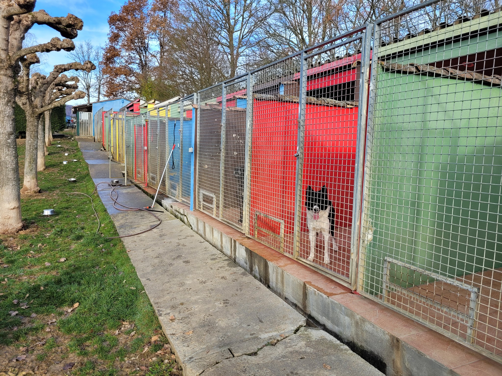 AC-CROCS - Pension - Éducation - Activités canines - vente de croquettes — photo