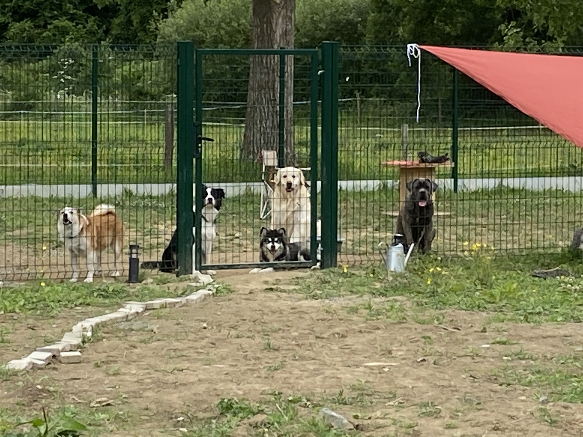 La Chaumière Aux Poilus