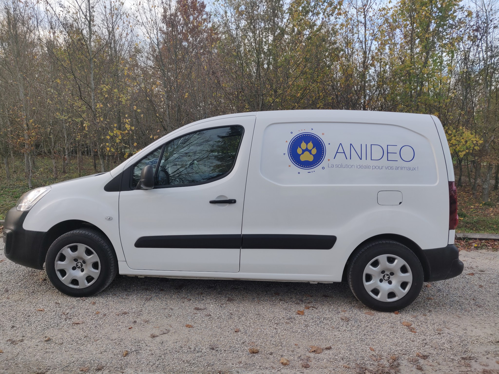 Anideo — photo