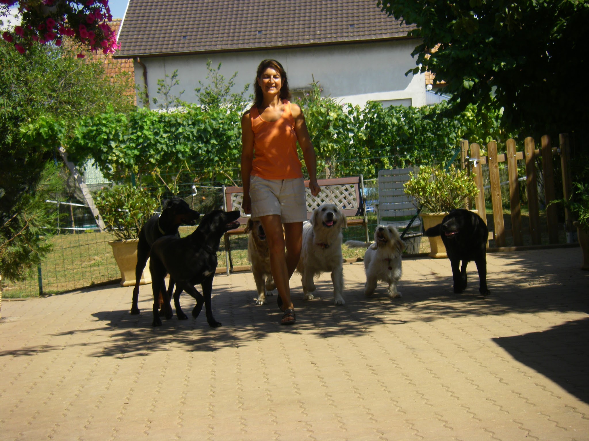 FERME D'ASTRALE — photo