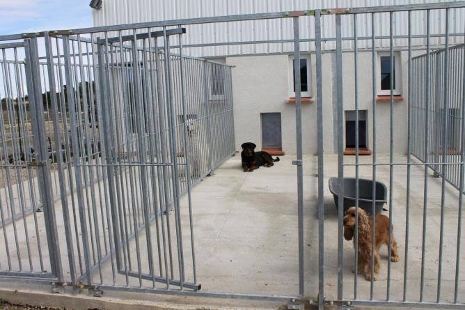 Pension Canine du Mas de l'ile