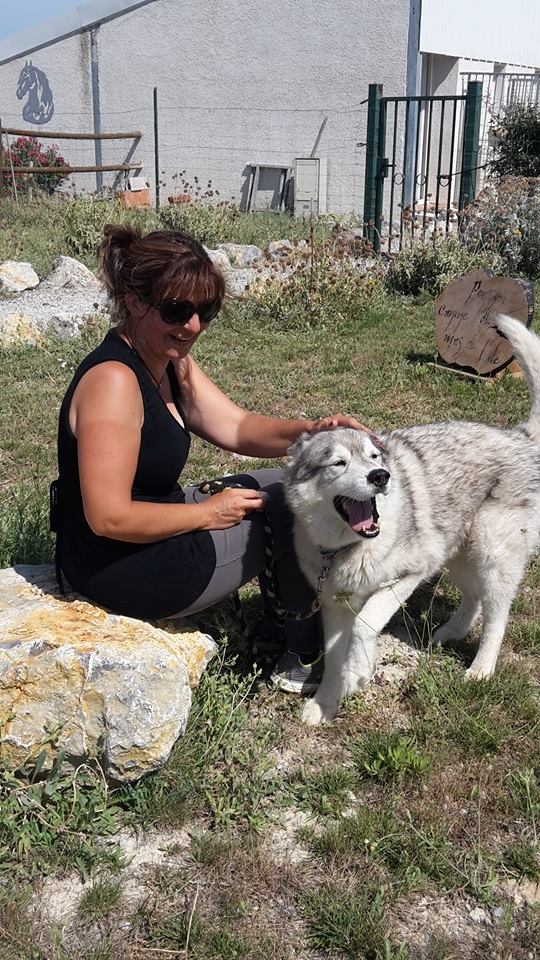 Pension Canine du Mas de l'ile — photo