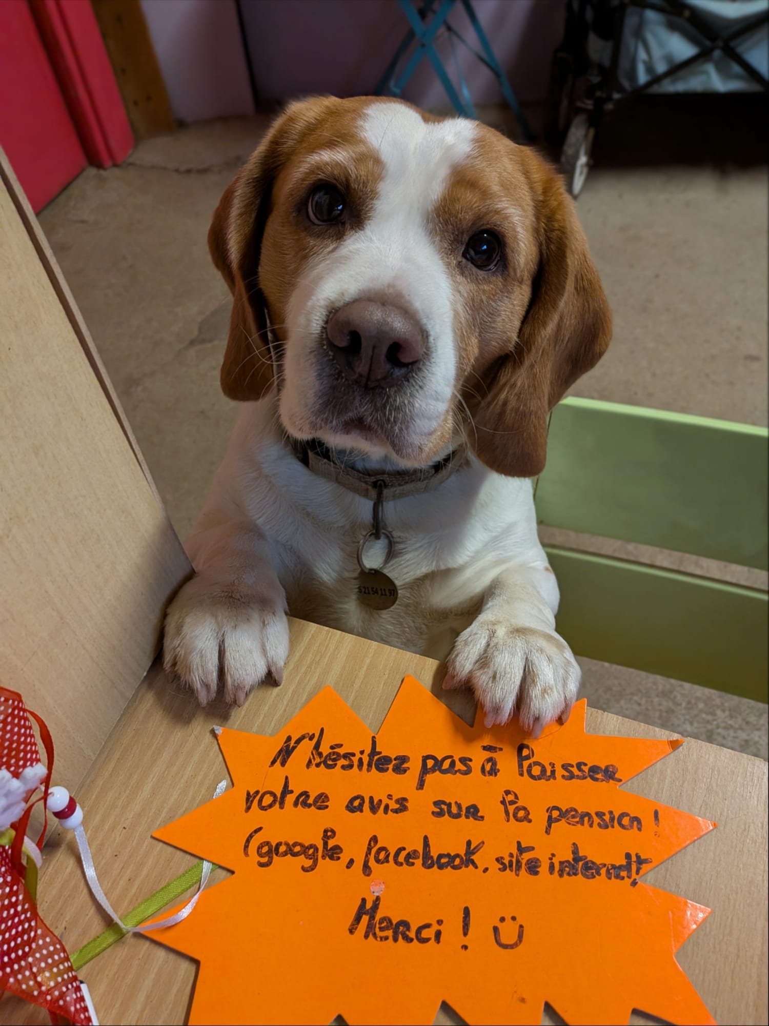 Pension de La Lande DourFal — photo