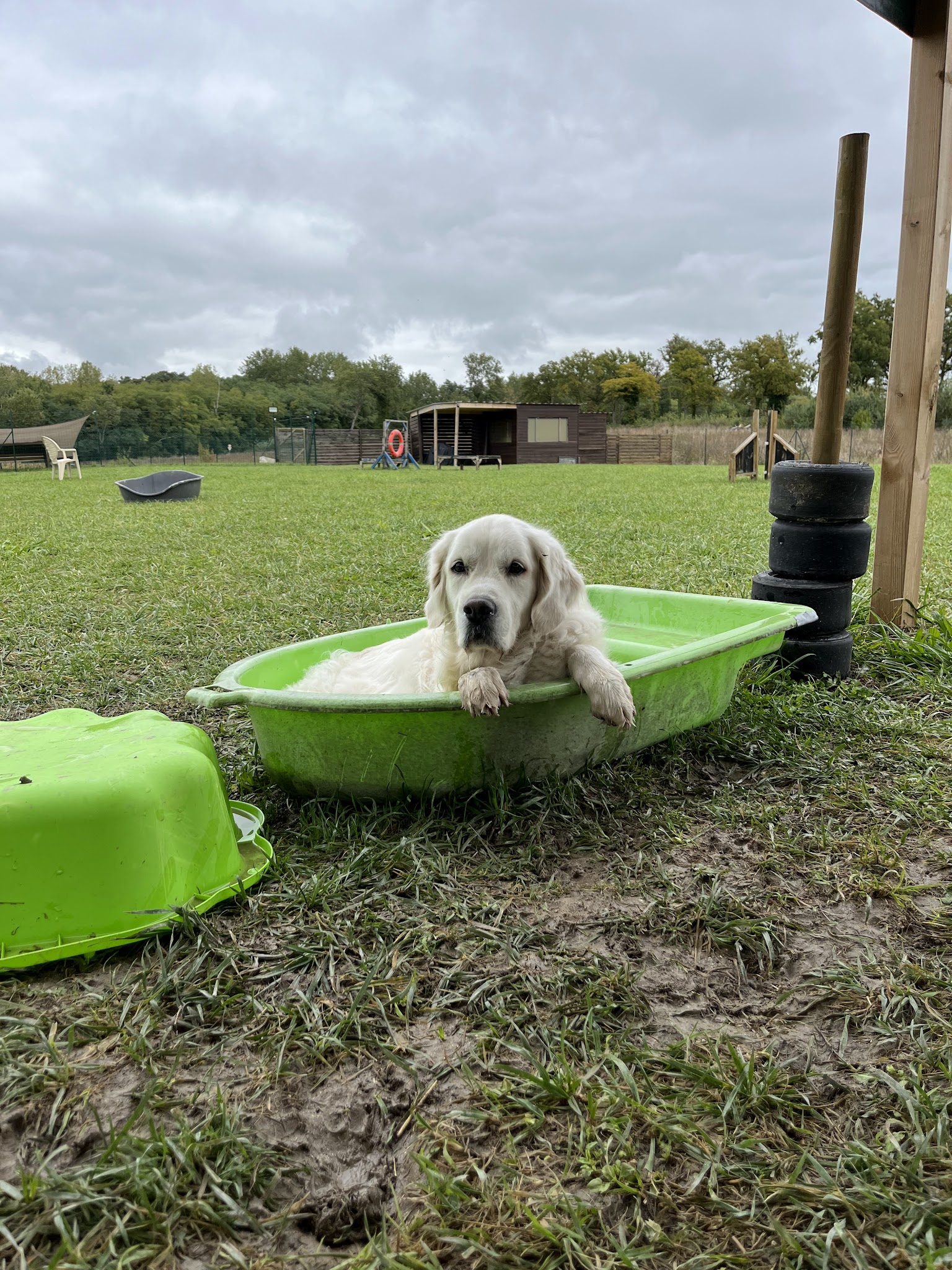Aux Chiens Perchés 51 — photo