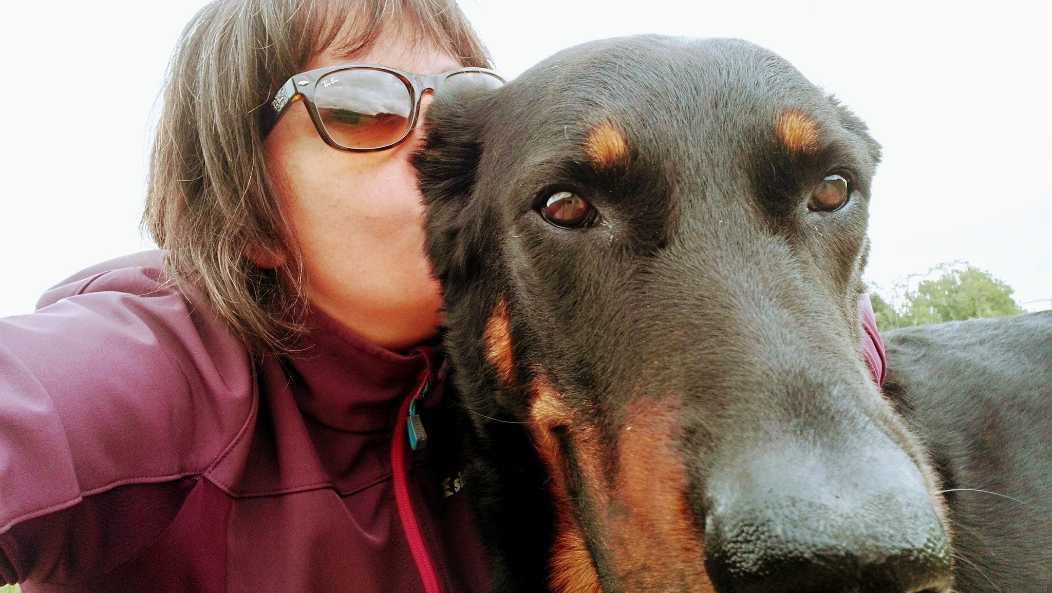 Noé Animaux et Compagnie, Petsitting et Accompagnement du deuil animalier — photo