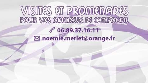 Noé Animaux et Compagnie, Petsitting et Accompagnement du deuil animalier