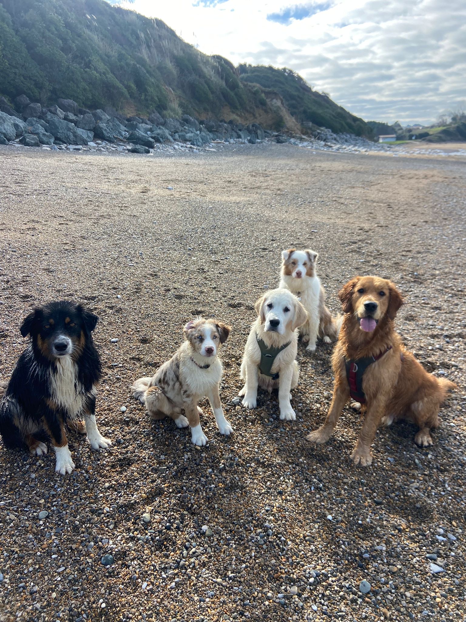 MA PEPETTE BIARRITZ - petsitter & dogwalker — photo