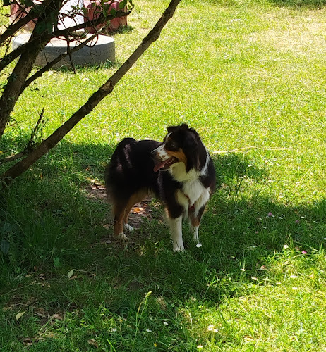 L'école de Pandora