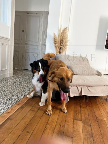 Pension pour chiens BLAYE - Amy 2 crème
