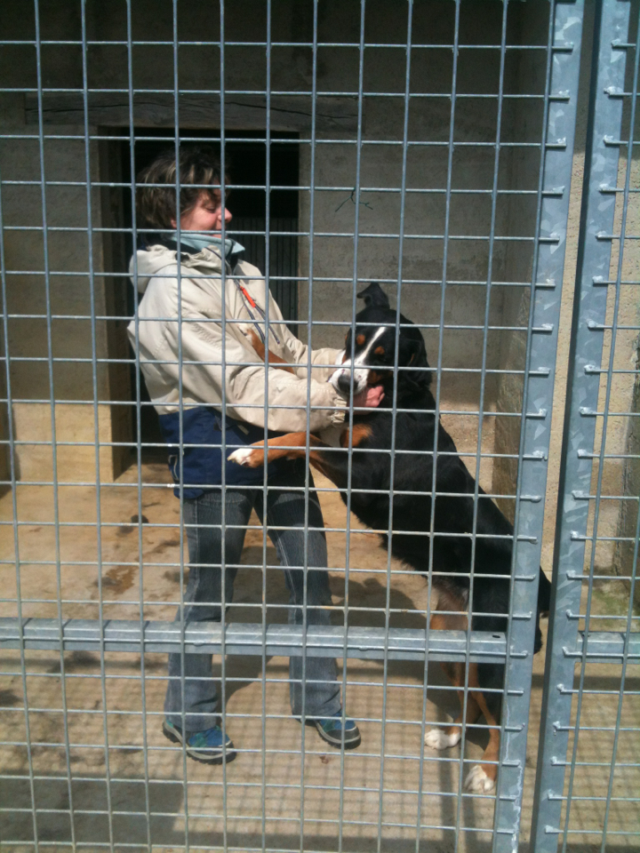 Domaine de Shihlaya — photo