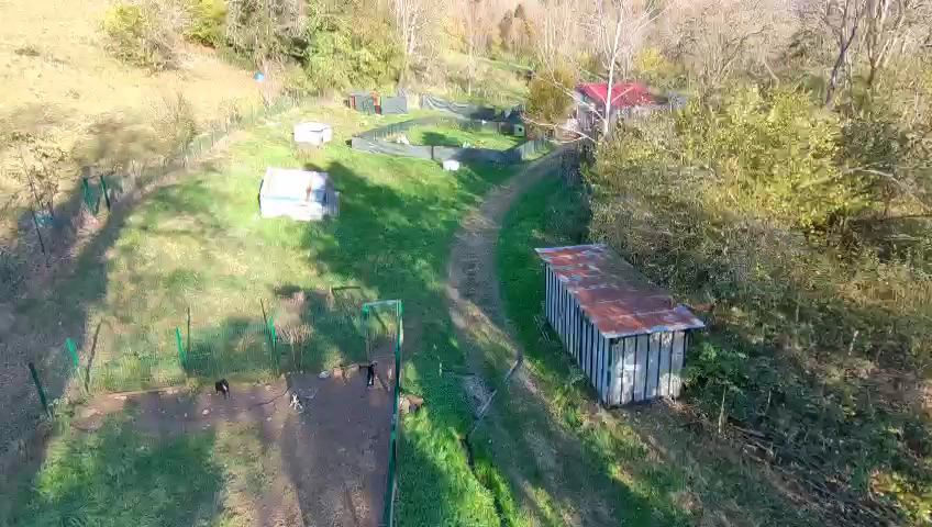 Élevage et pension des Seigneurs de Montbel — photo