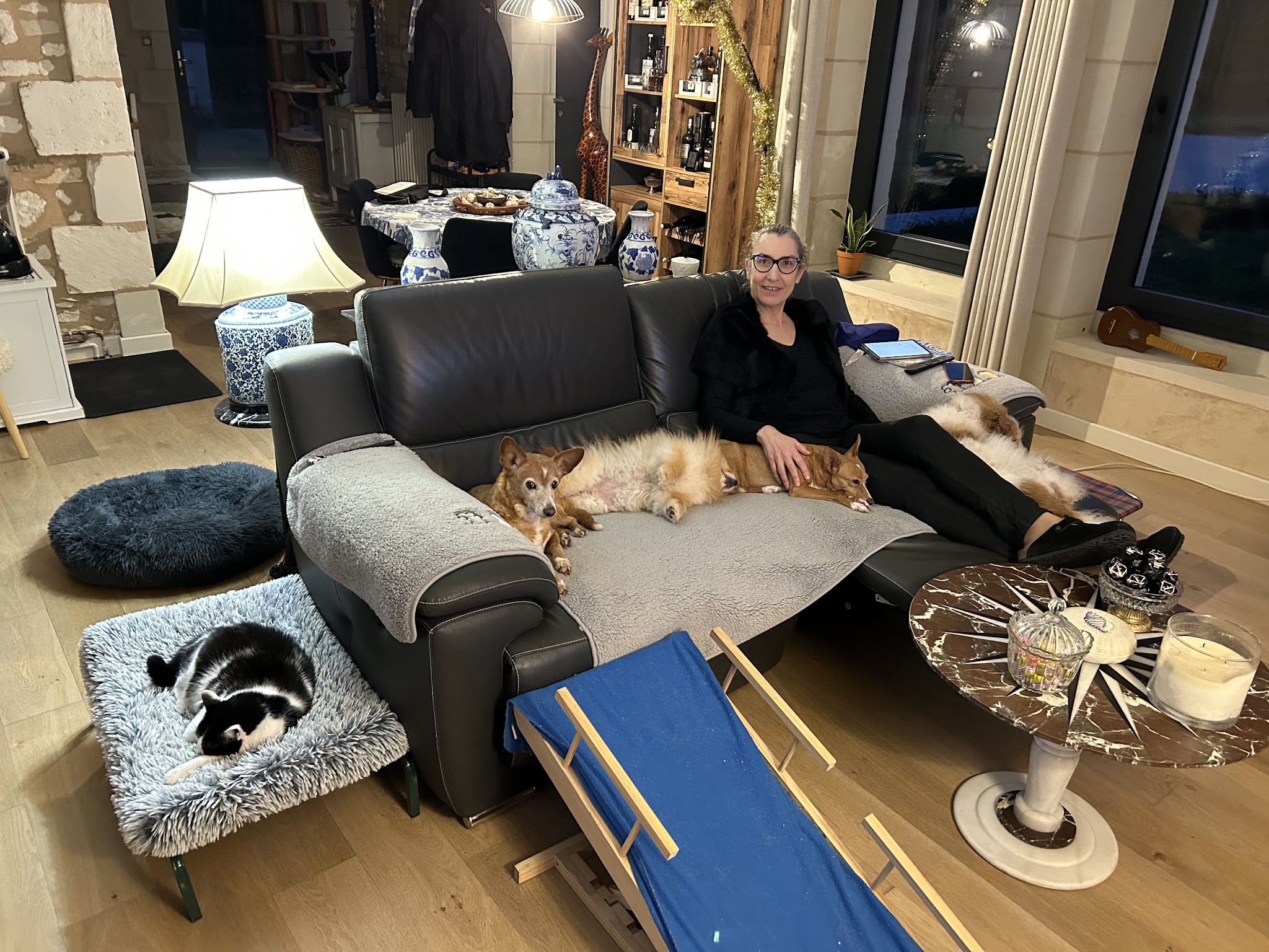 En harmonie avec mon chien - Comportementaliste canin — photo
