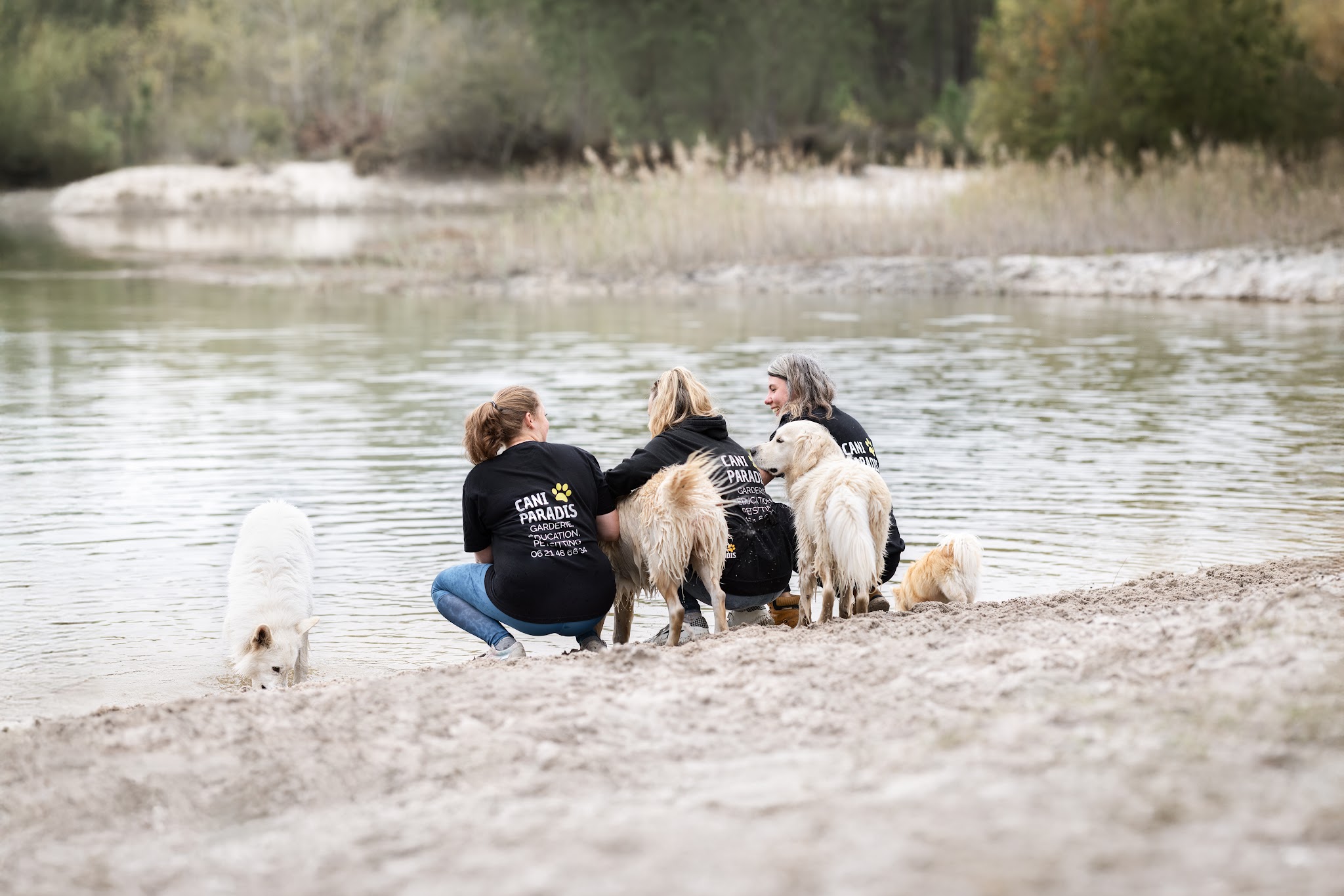 Cani Paradis - Éducateur canin & Pet sitter
