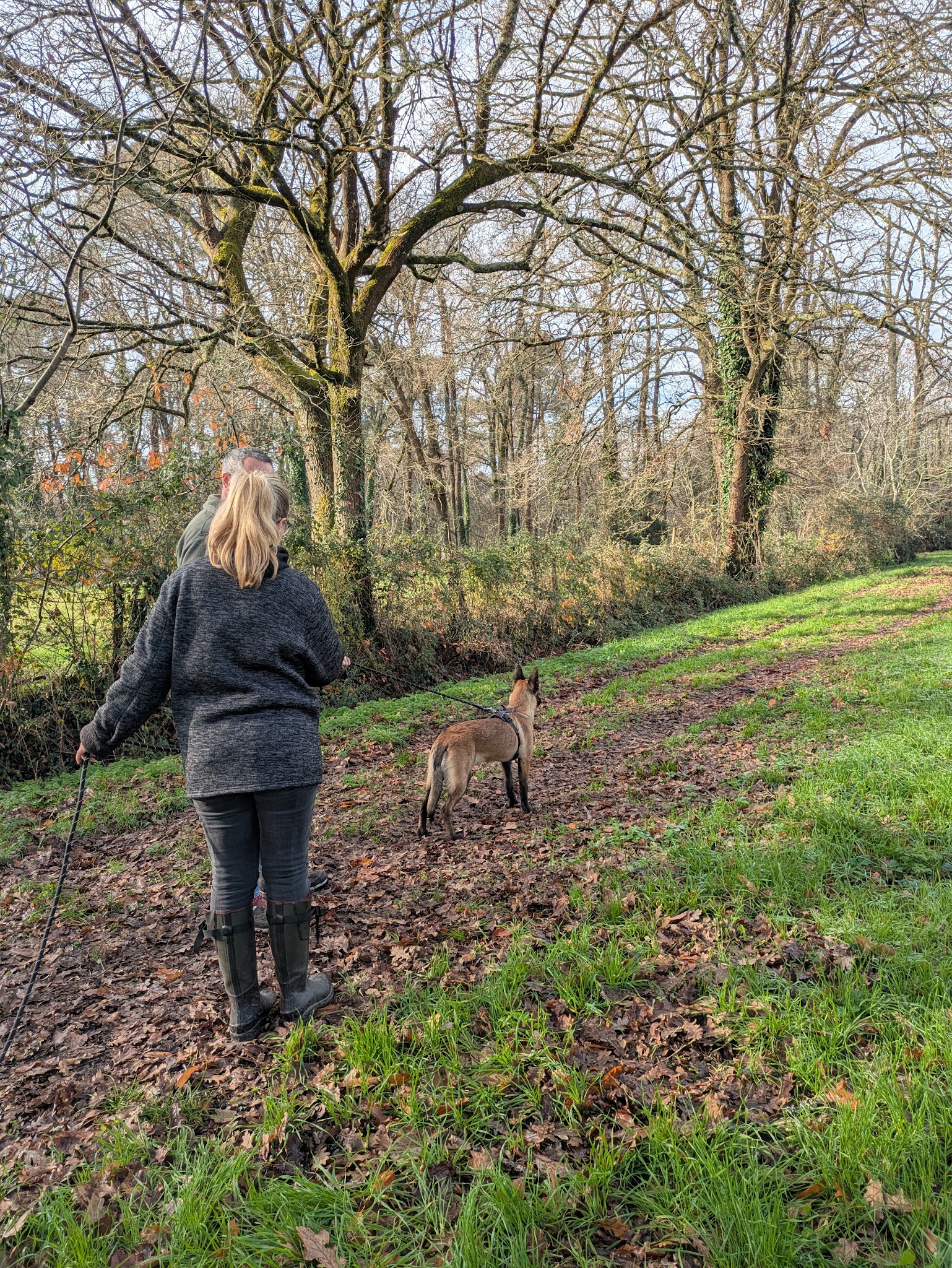 Cani Paradis - Éducateur canin & Pet sitter — photo
