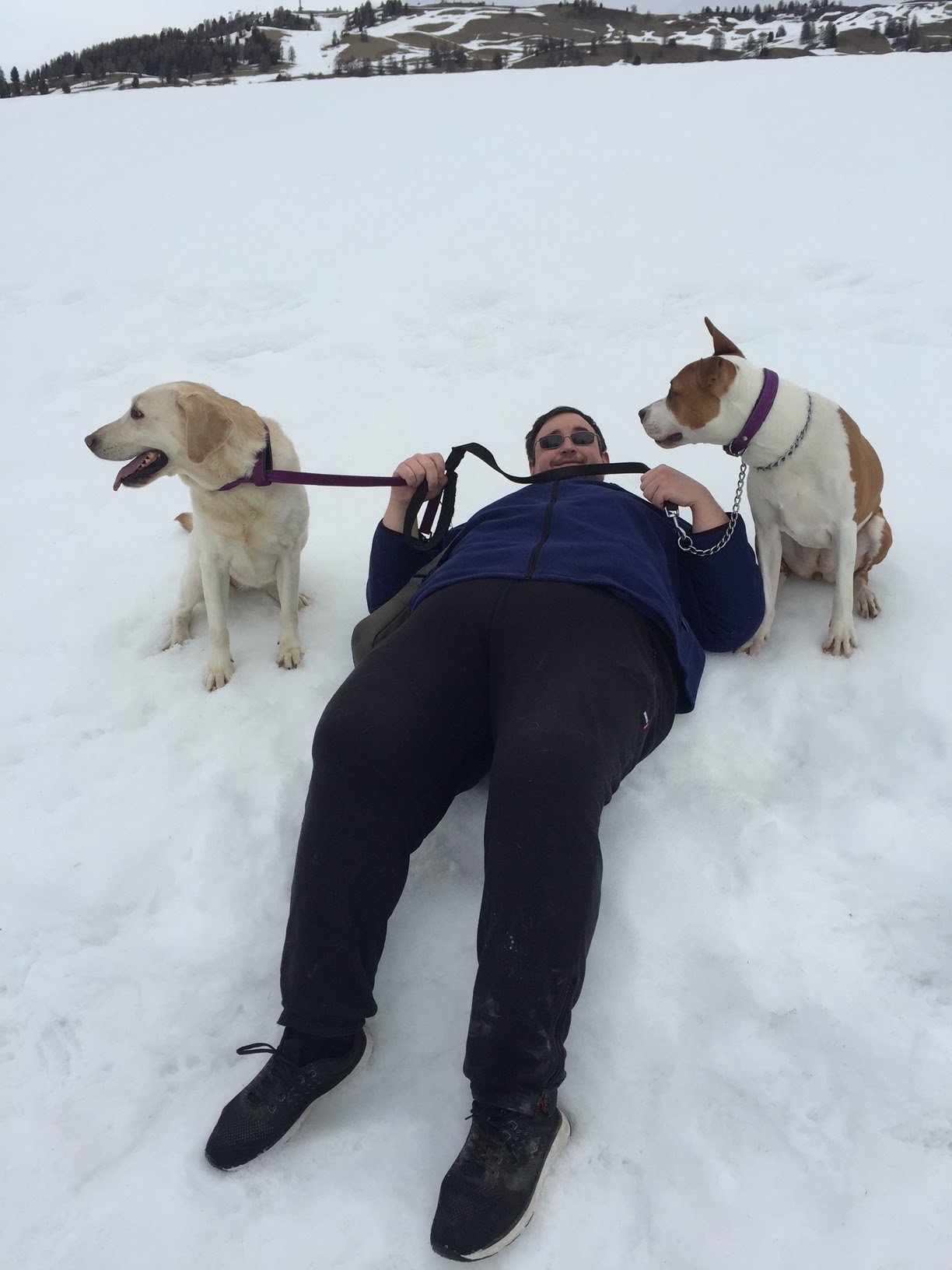 The Walking-Dogs — photo