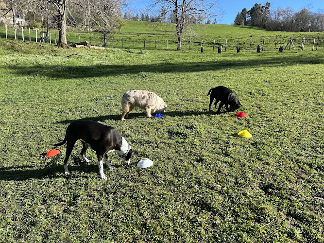 Caniprairie – Parc et centre de loisirs pour chiens