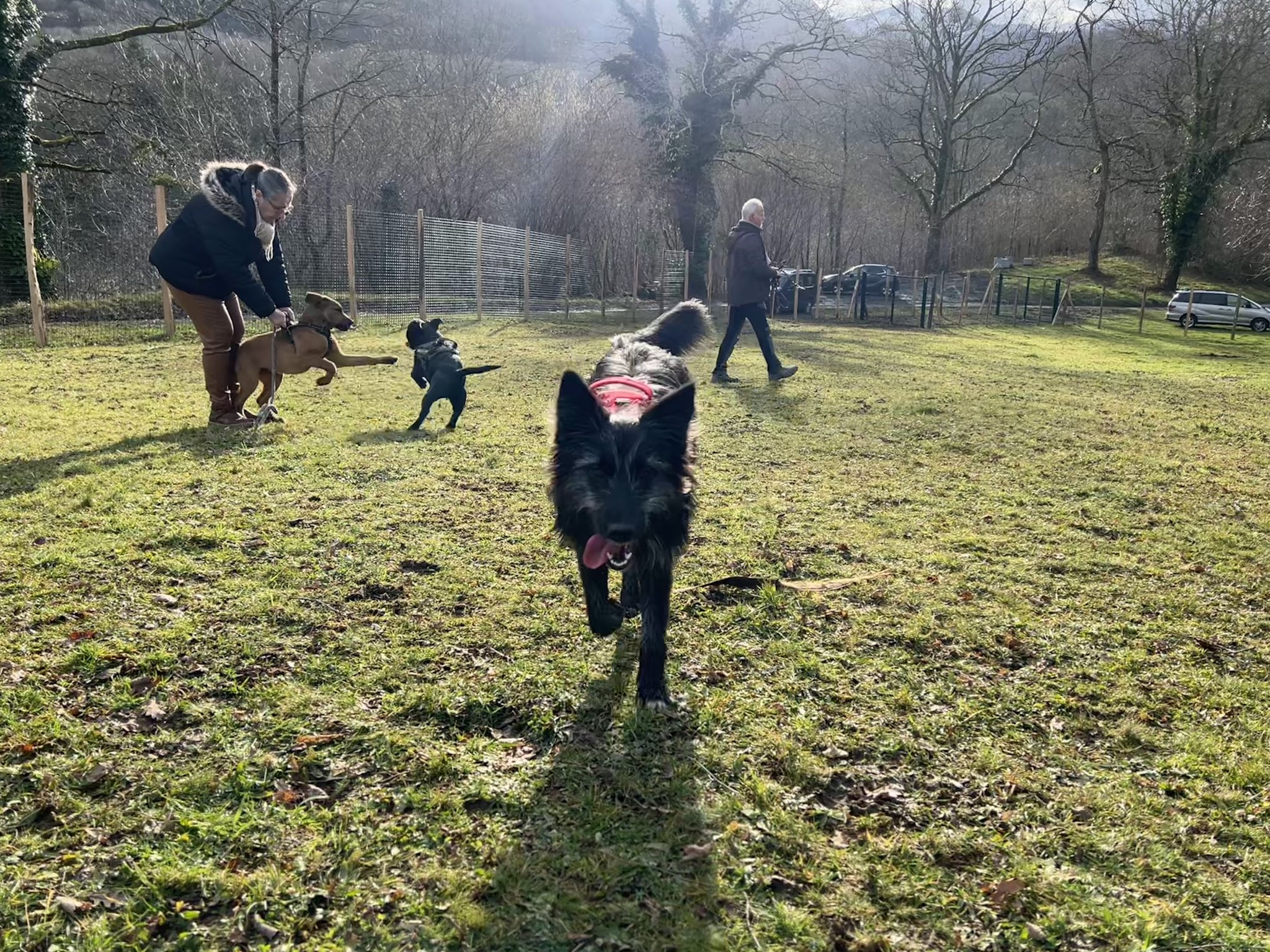 Caniprairie – Parc et centre de loisirs pour chiens — photo