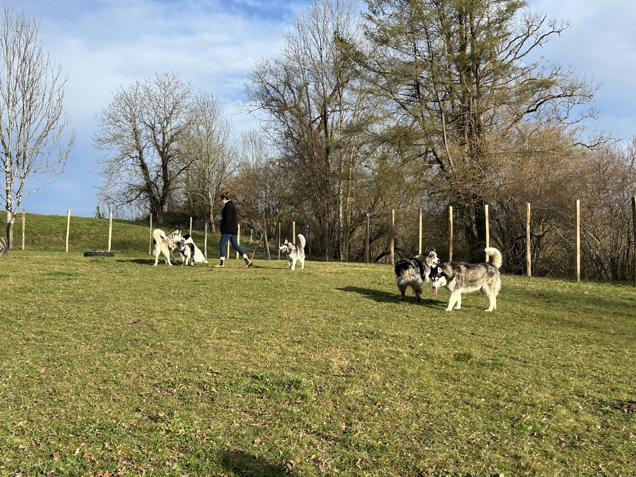 Caniprairie – Parc et centre de loisirs pour chiens — photo