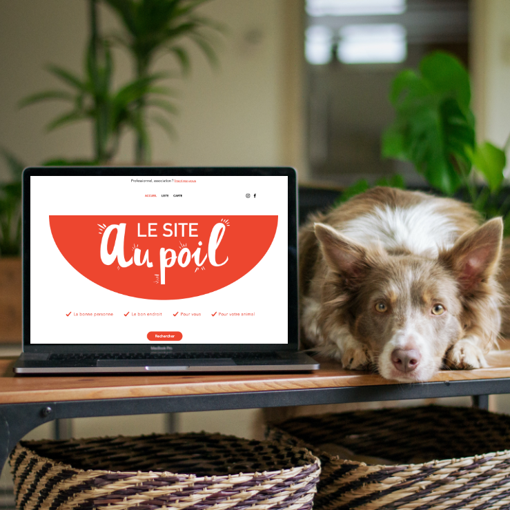 Le Site au Poil — photo